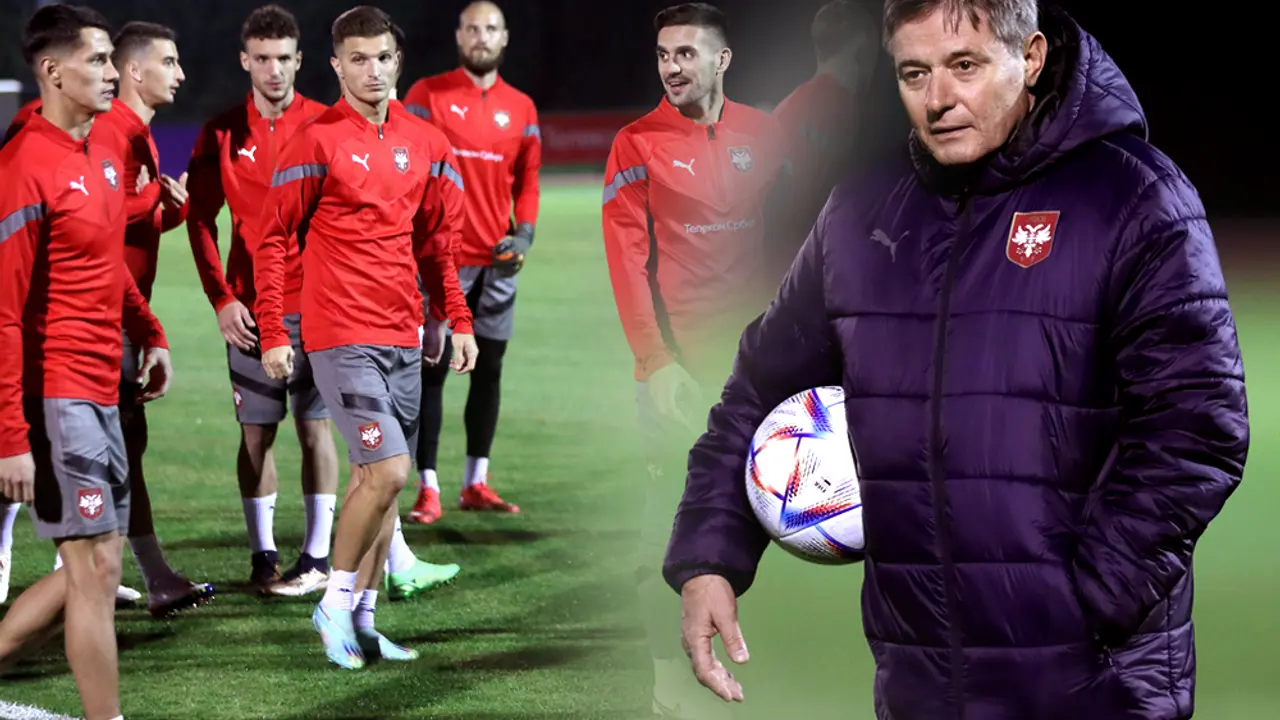 Dragan Stojković Piksi, Fudbalska reprezentacija Srbije