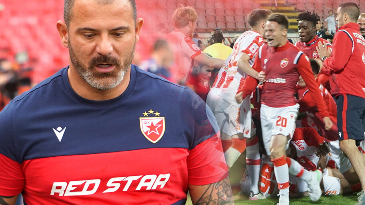 Dejan Stanković, FK Crvena zvezda