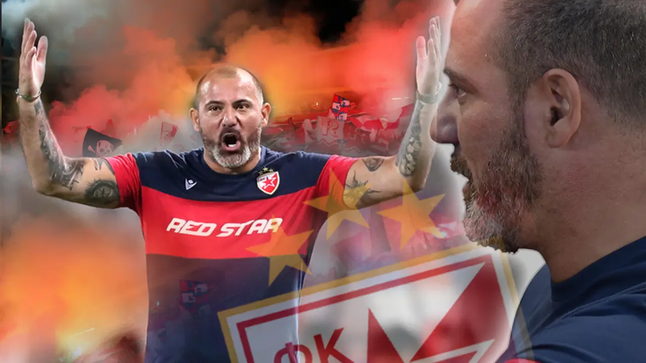 Dejan Stanković, FK Crvena zvezda