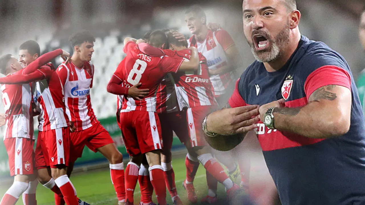 Dejan Stanković, FK Crvena zvezda