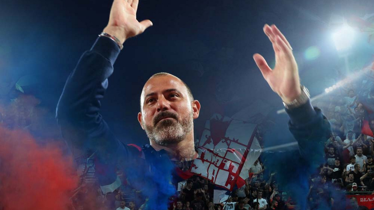Dejan Stanković, FK Crvena zvezda