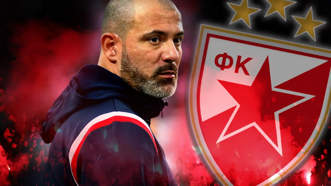 Dejan Stanković, FK Crvena zvezda