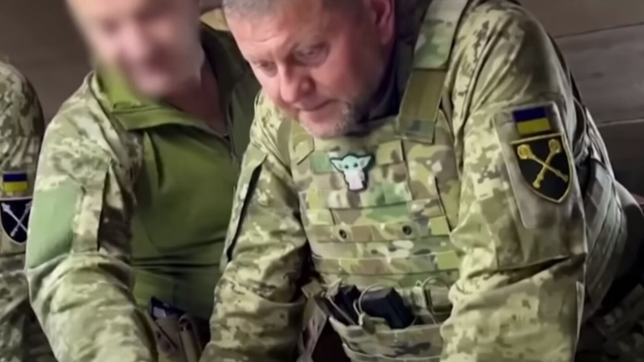 Valerij Zalužni