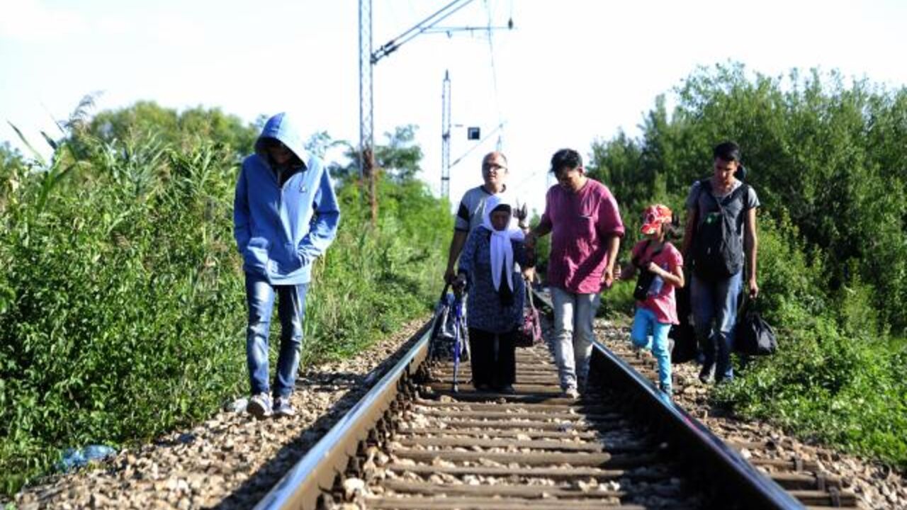 Migranti