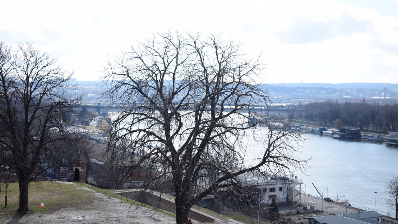 beograd
