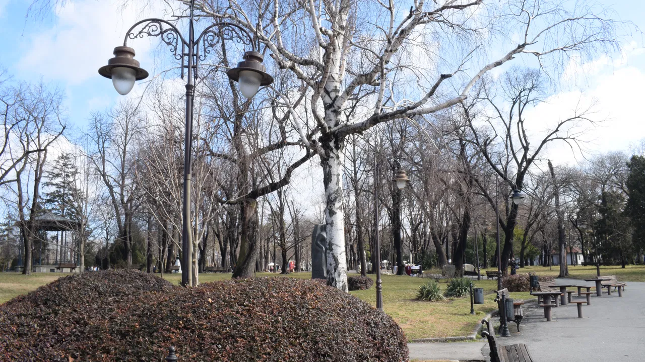 beograd