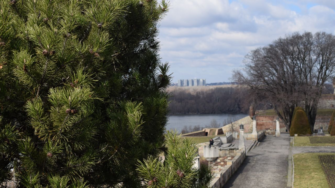 beograd