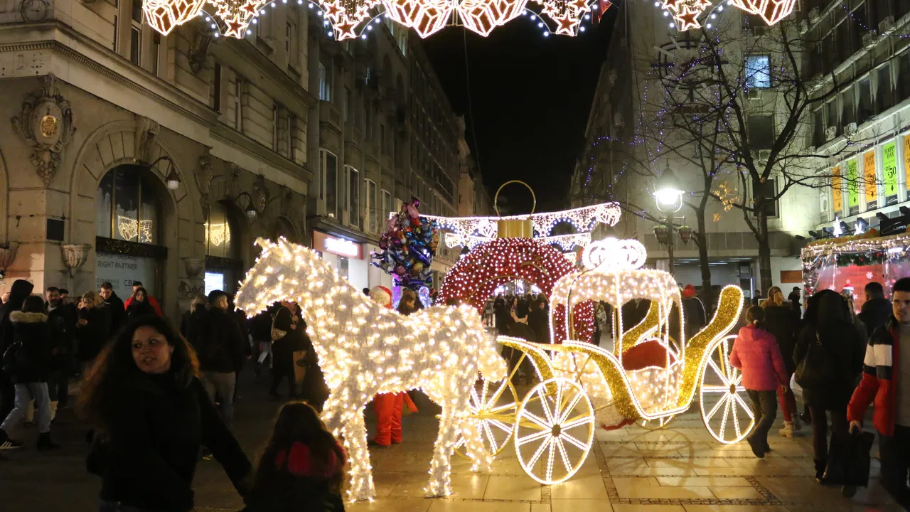 beograd