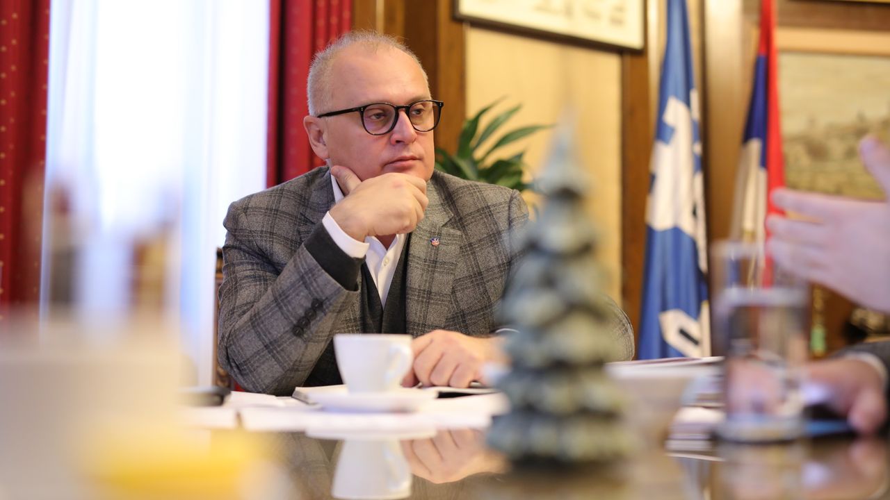 goran-vesic