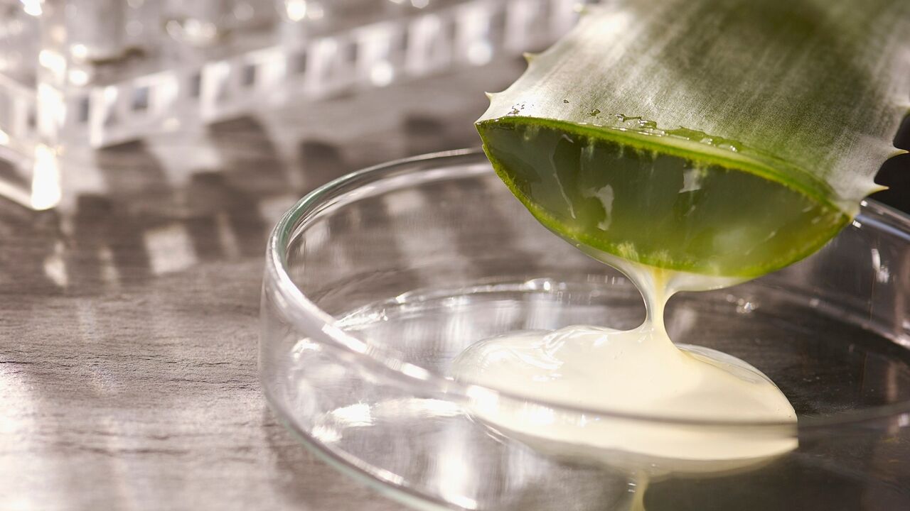 aloe vera gel se sipa u cinijicu