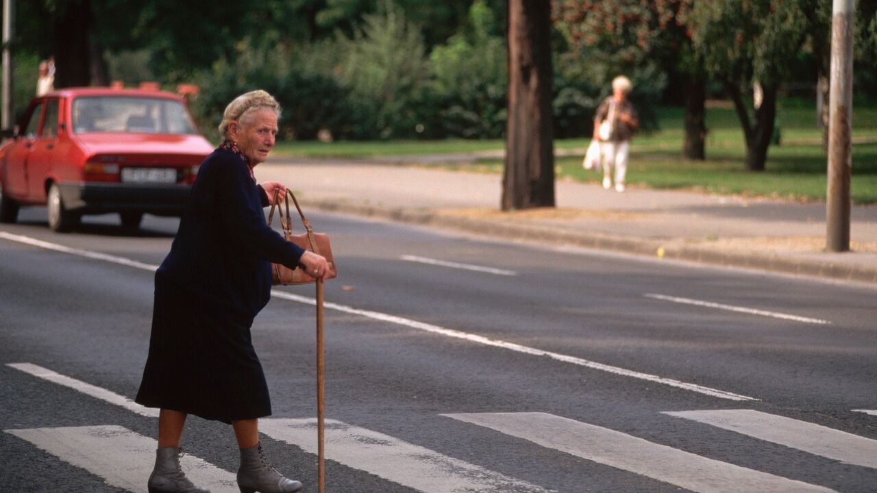 Baka na pešačkom prelazu