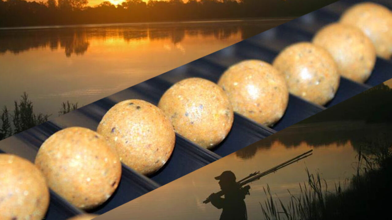 Pecanje u svitanje i "boile"