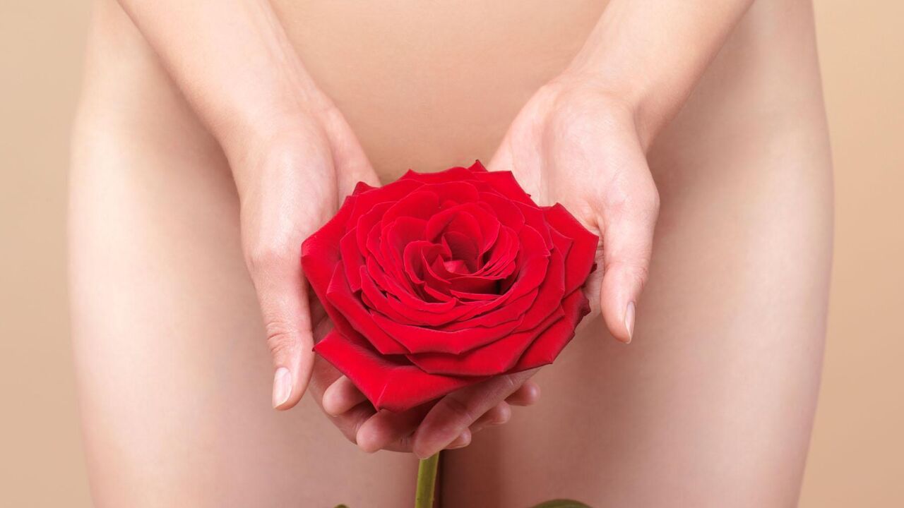 vagina