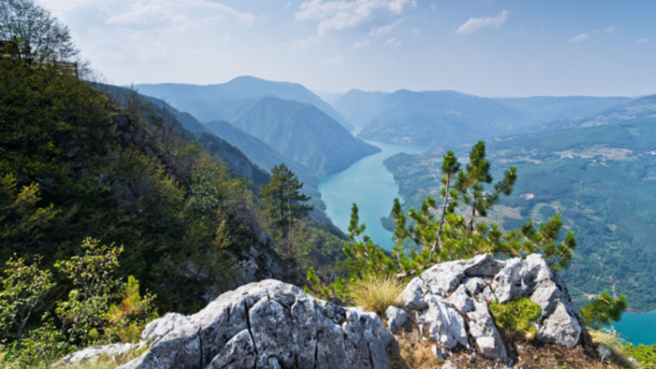 Tara, planina