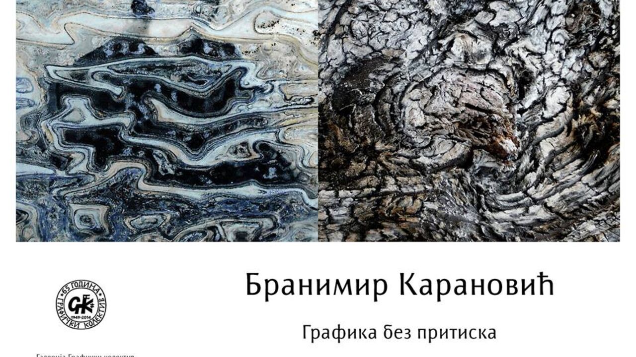 Branimir Karanović poster