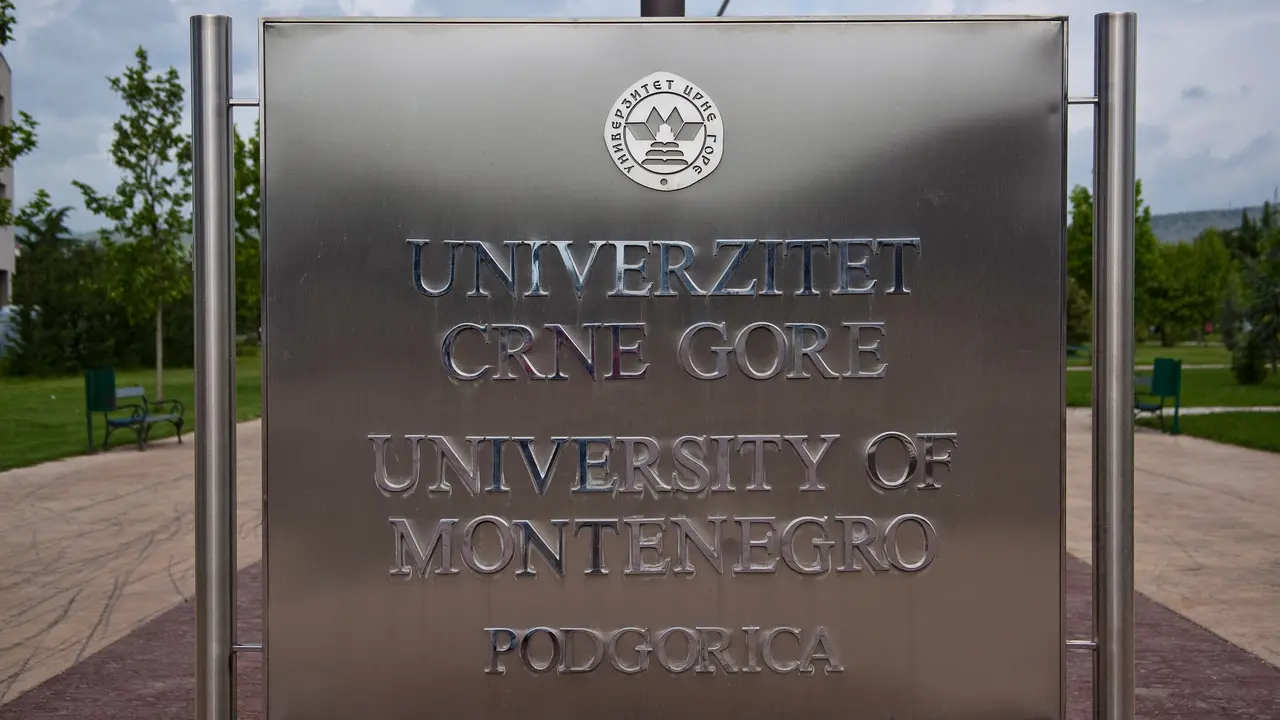 Univerzitet 