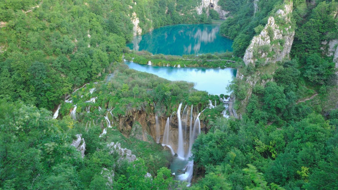 Hrvatska-šume