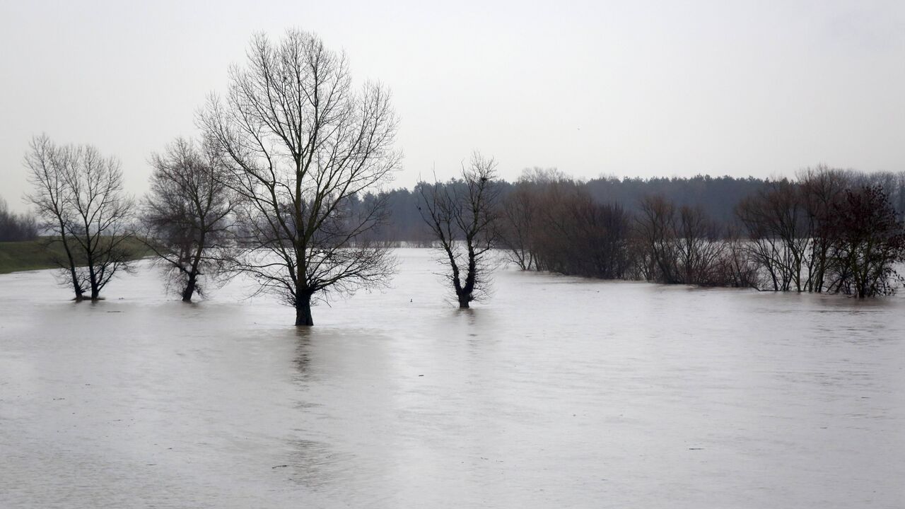 Poplave