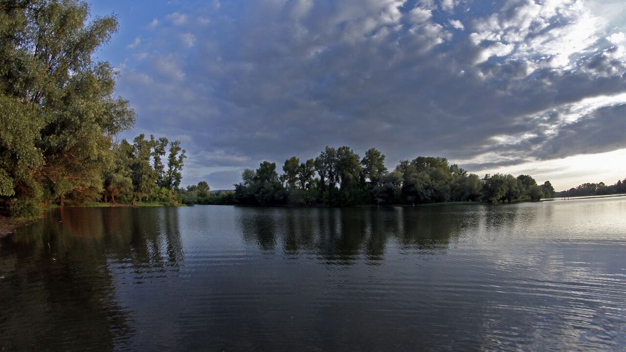 Dunav