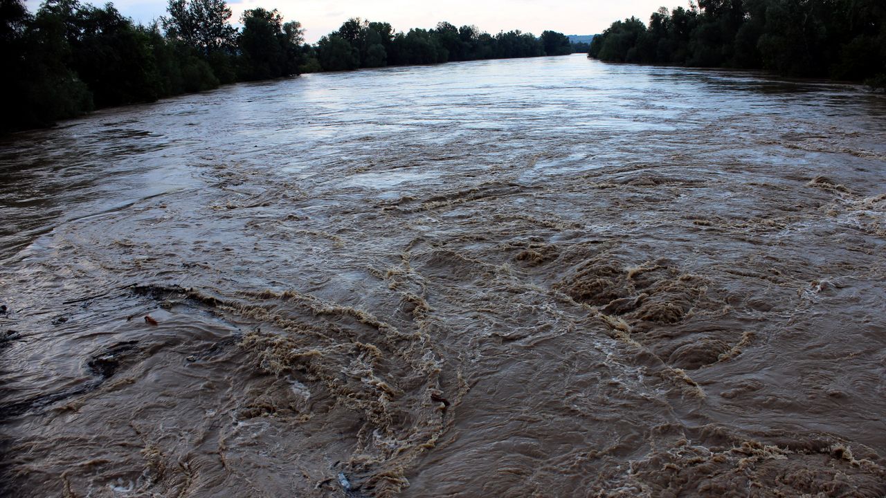 poplave