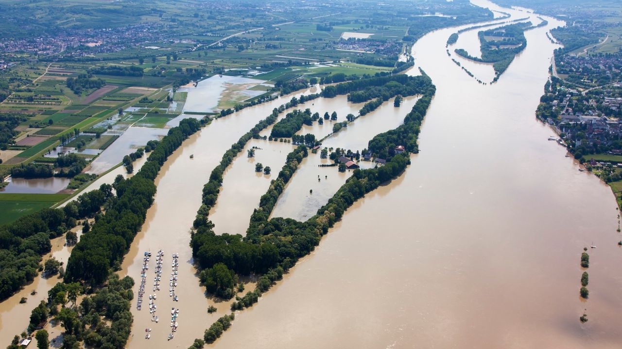poplave