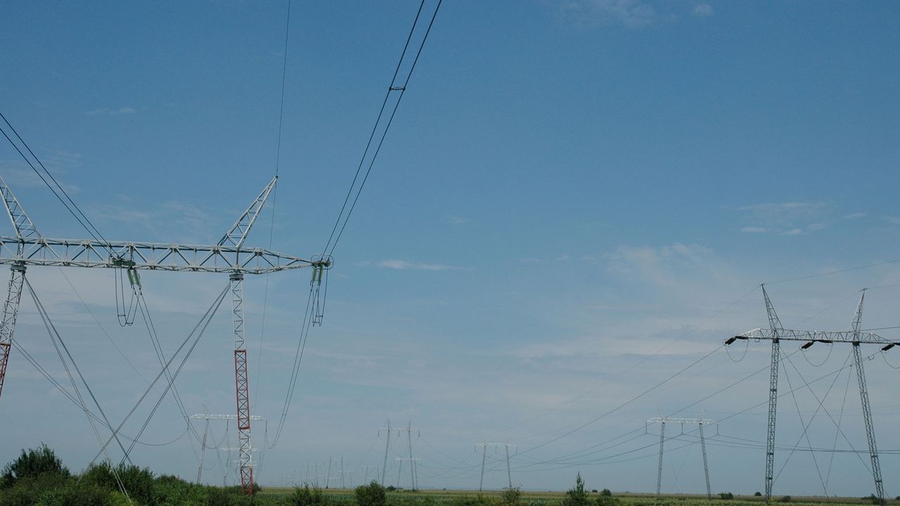 strujne žice