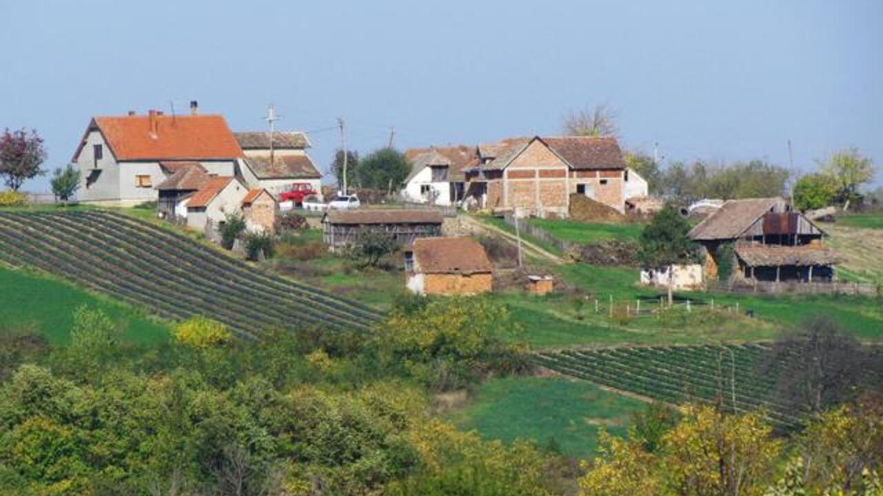 Šabac