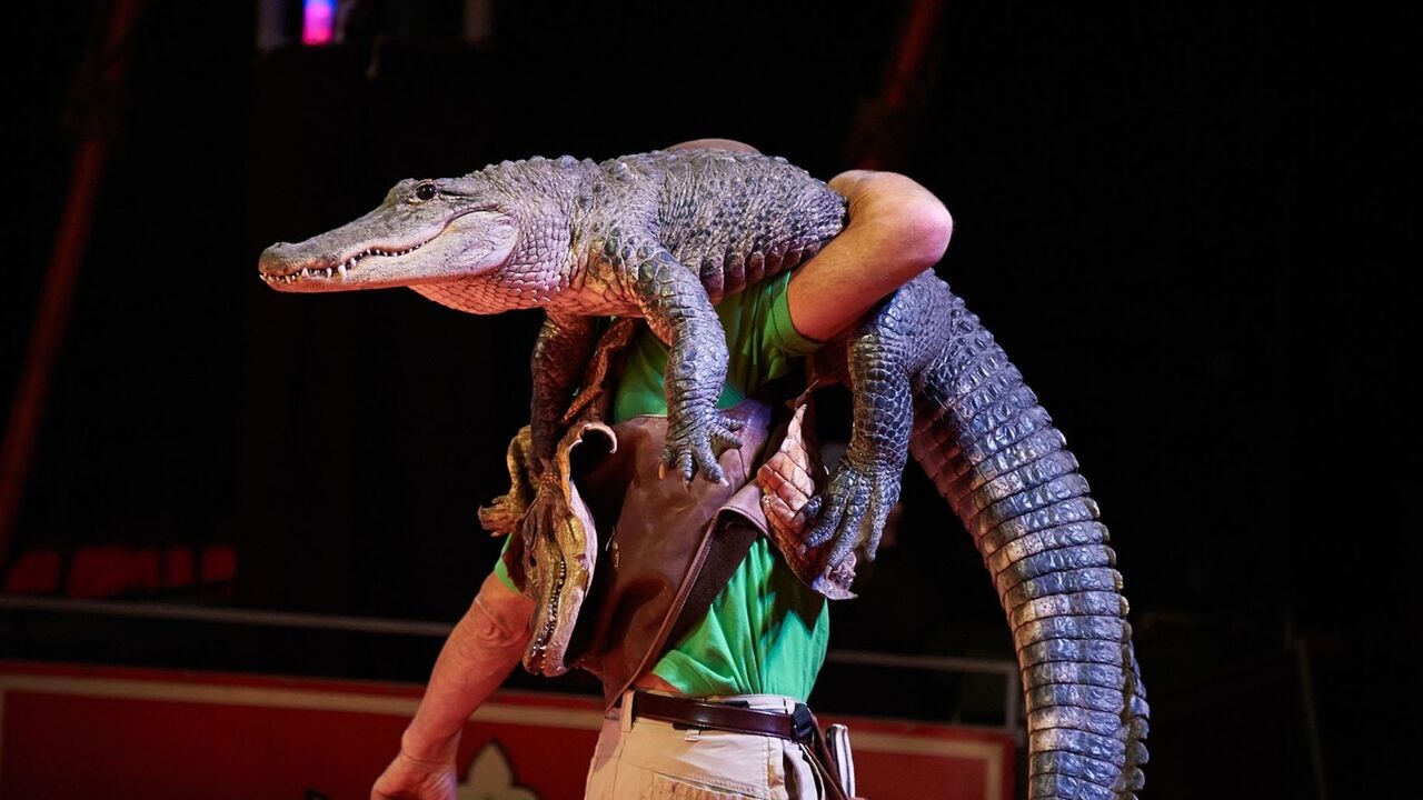 Cirkuski krokodil