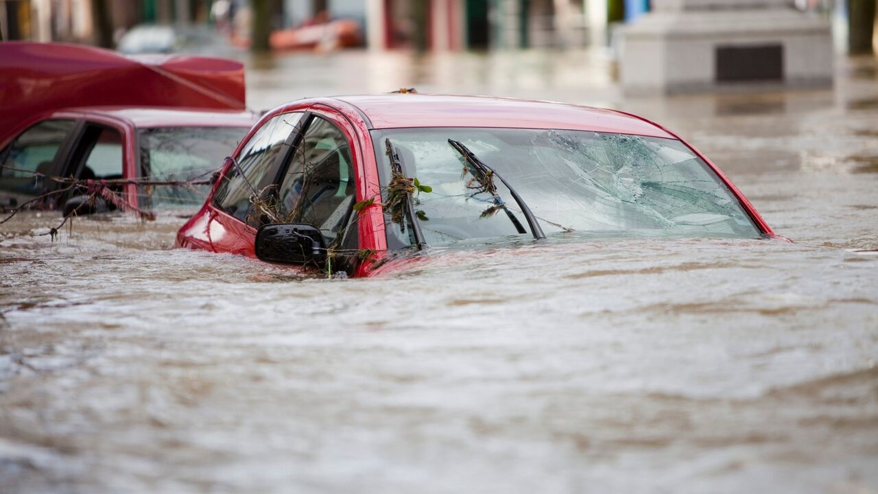 poplave