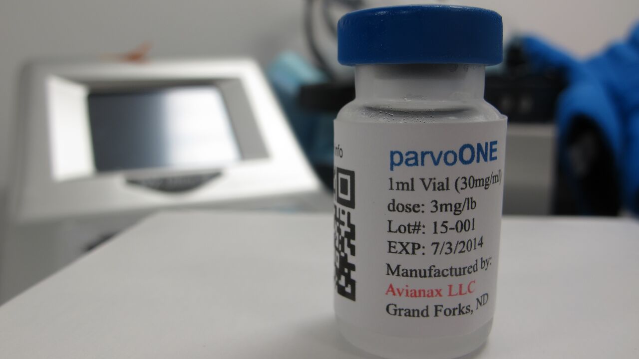 Avianax