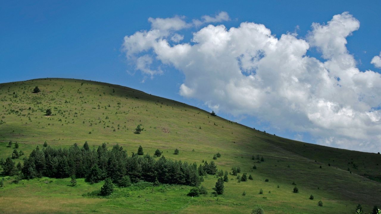 Zlatibor