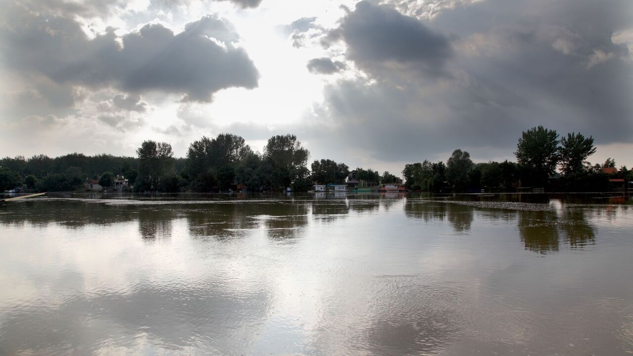 Tisa