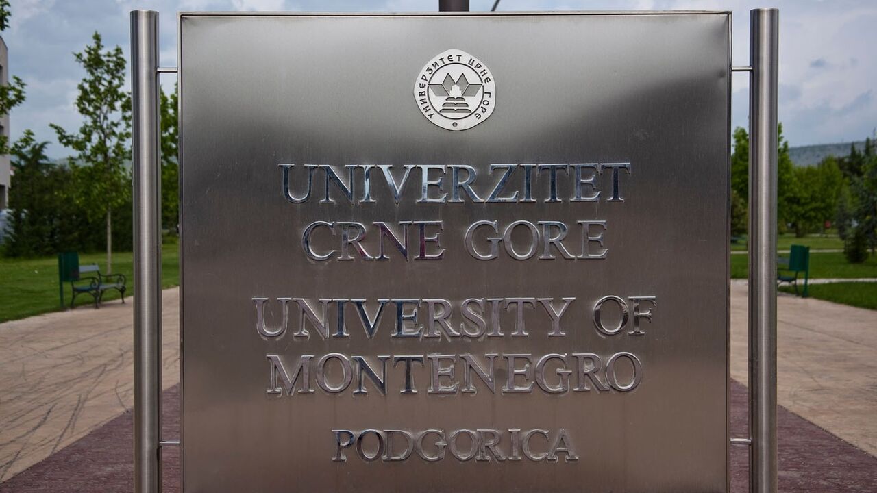 Univerzitet Crna Gora