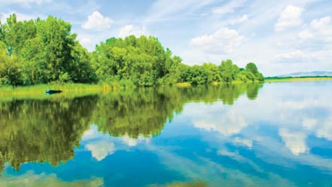 Dunav