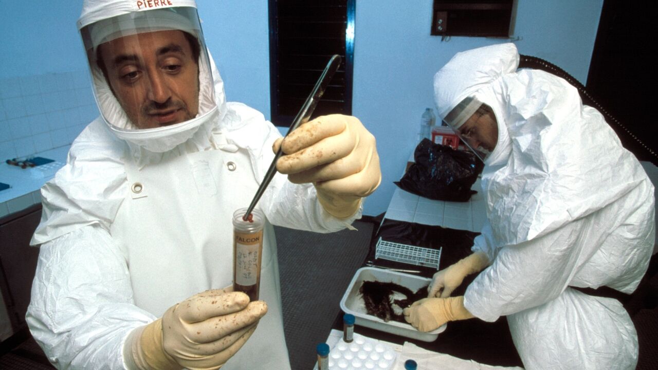 epidemija/ilustracija