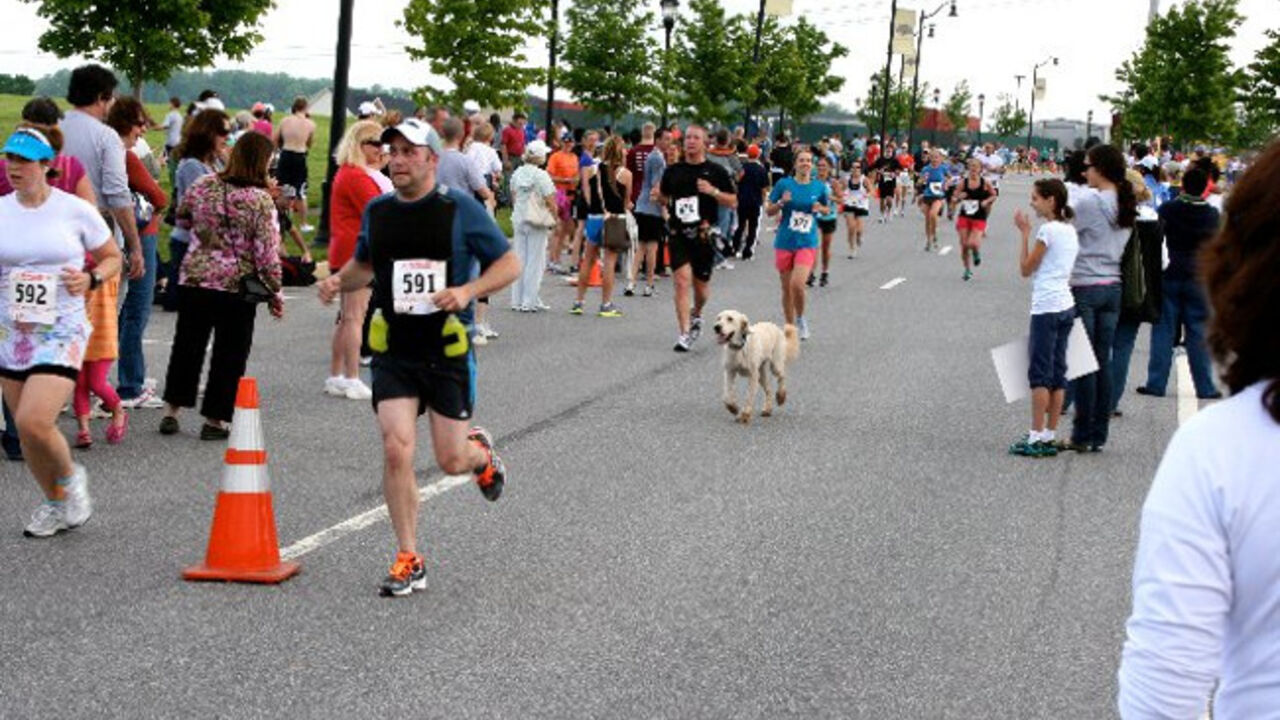 Dozer na maratonu