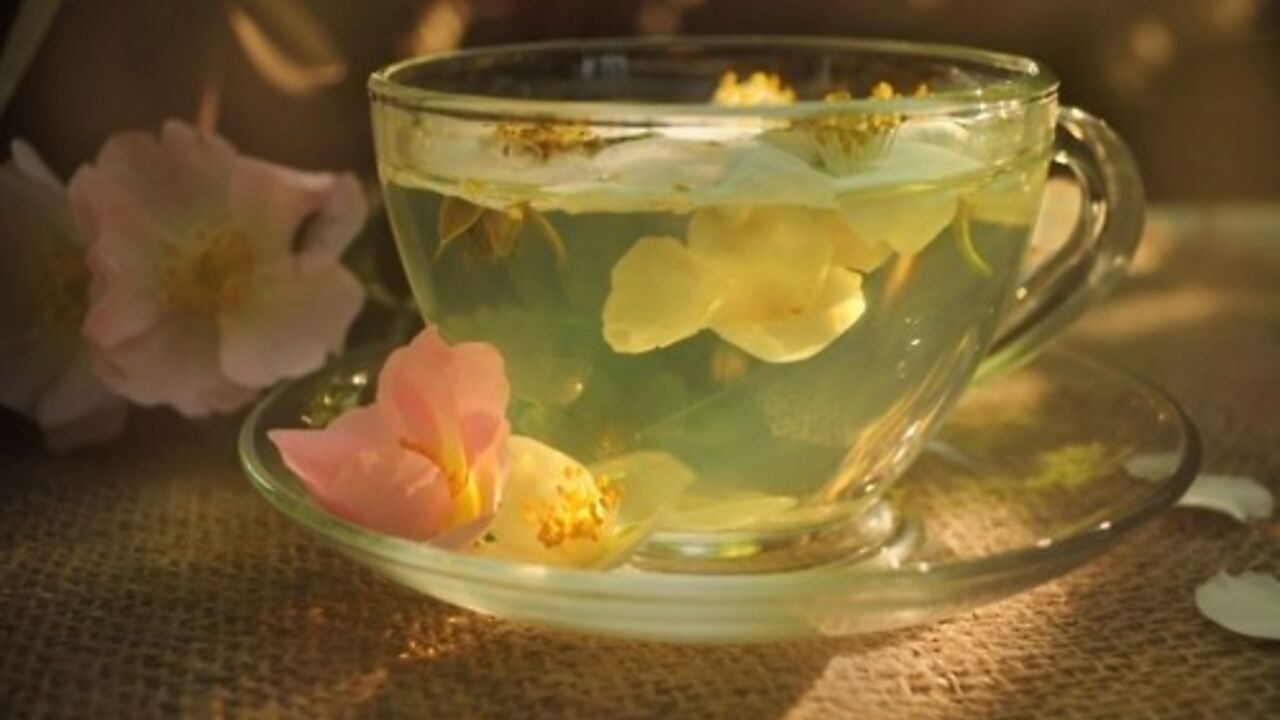 Jasmin,