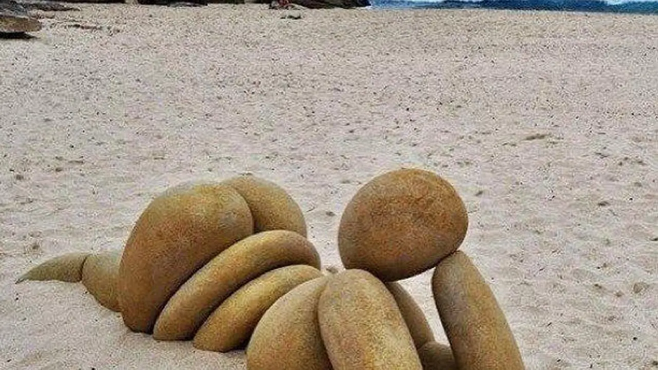 Umetnost od kamenčića! (FOTO)