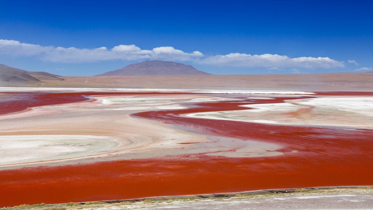 Crvena Laguna
