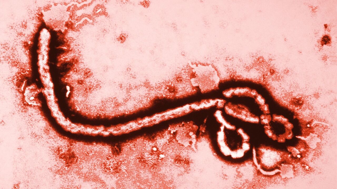 ebola