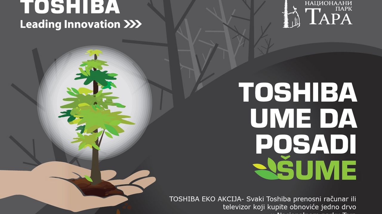 Toshiba pošumljava taru