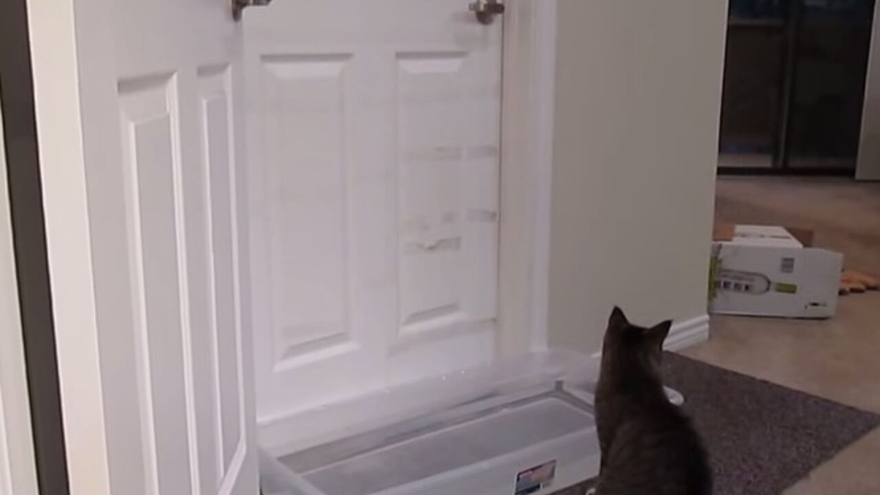 Mačka otvara vrata