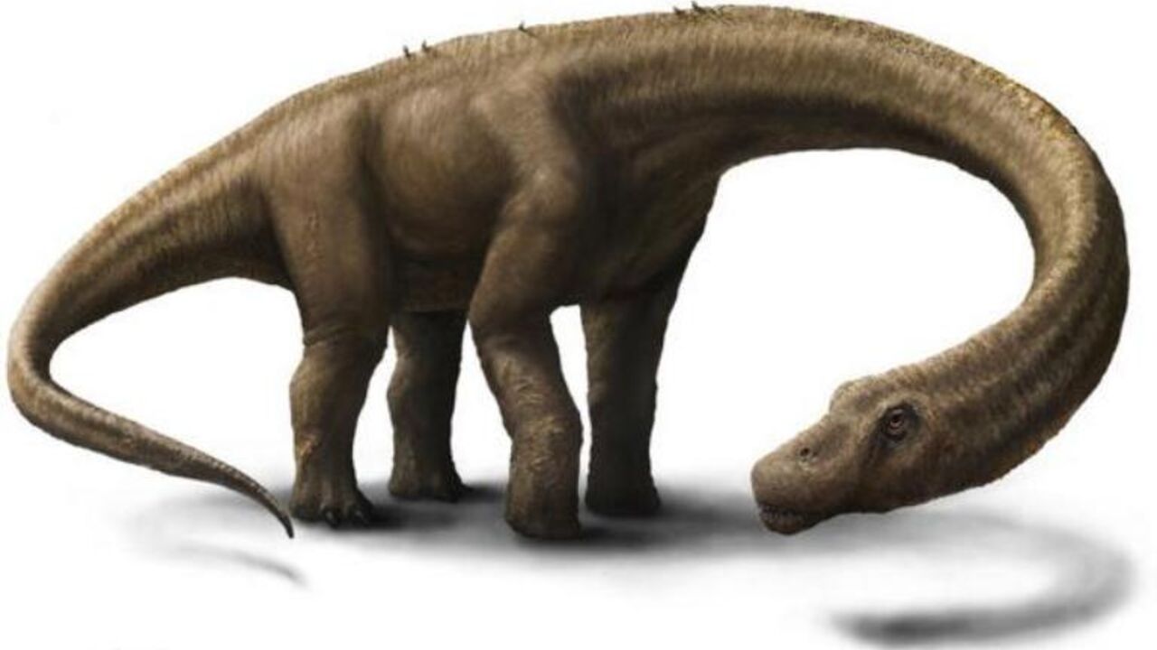 Dreadnoughtus