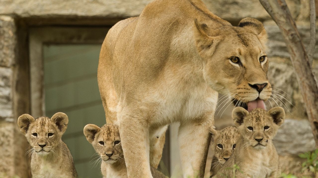 Zoo vrt Filadelfija