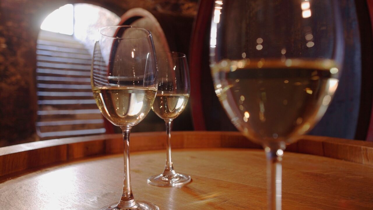 vino