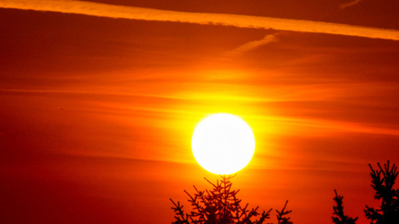 sunce