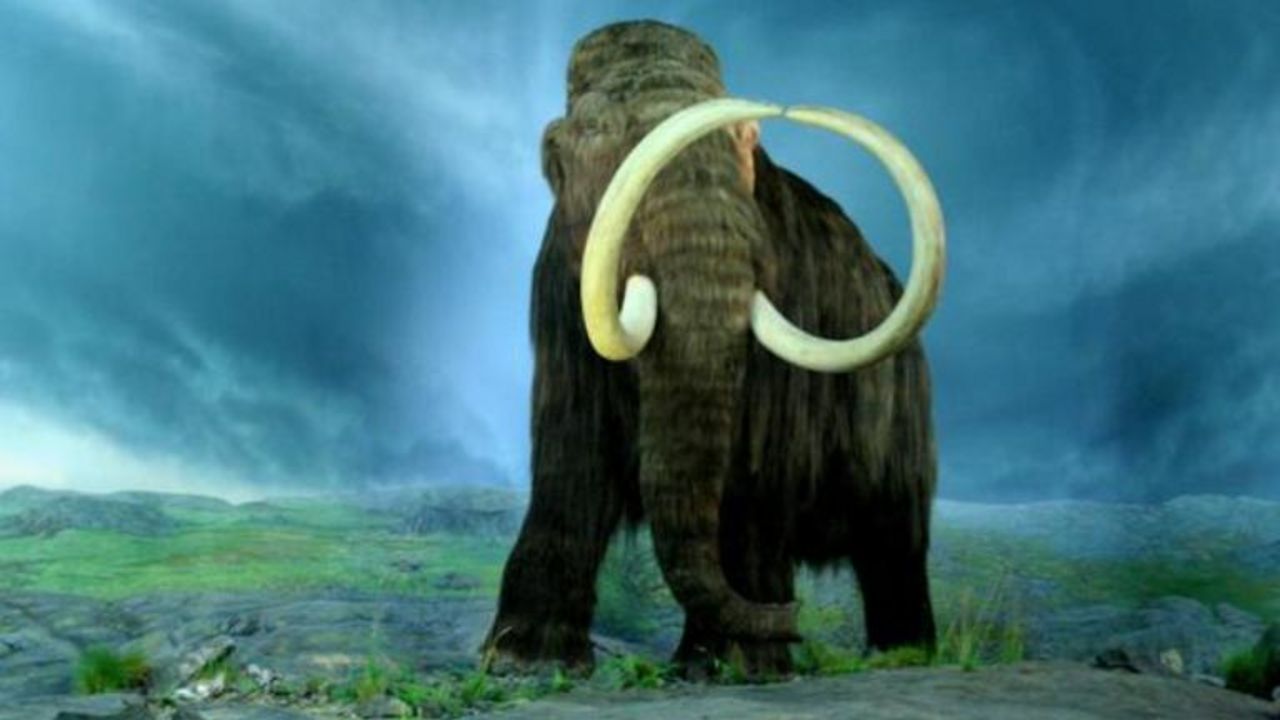 Mamut