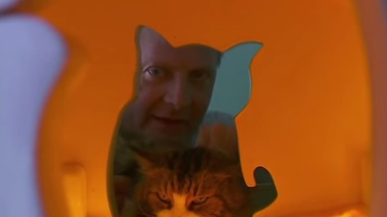 Mačka i vlasnik