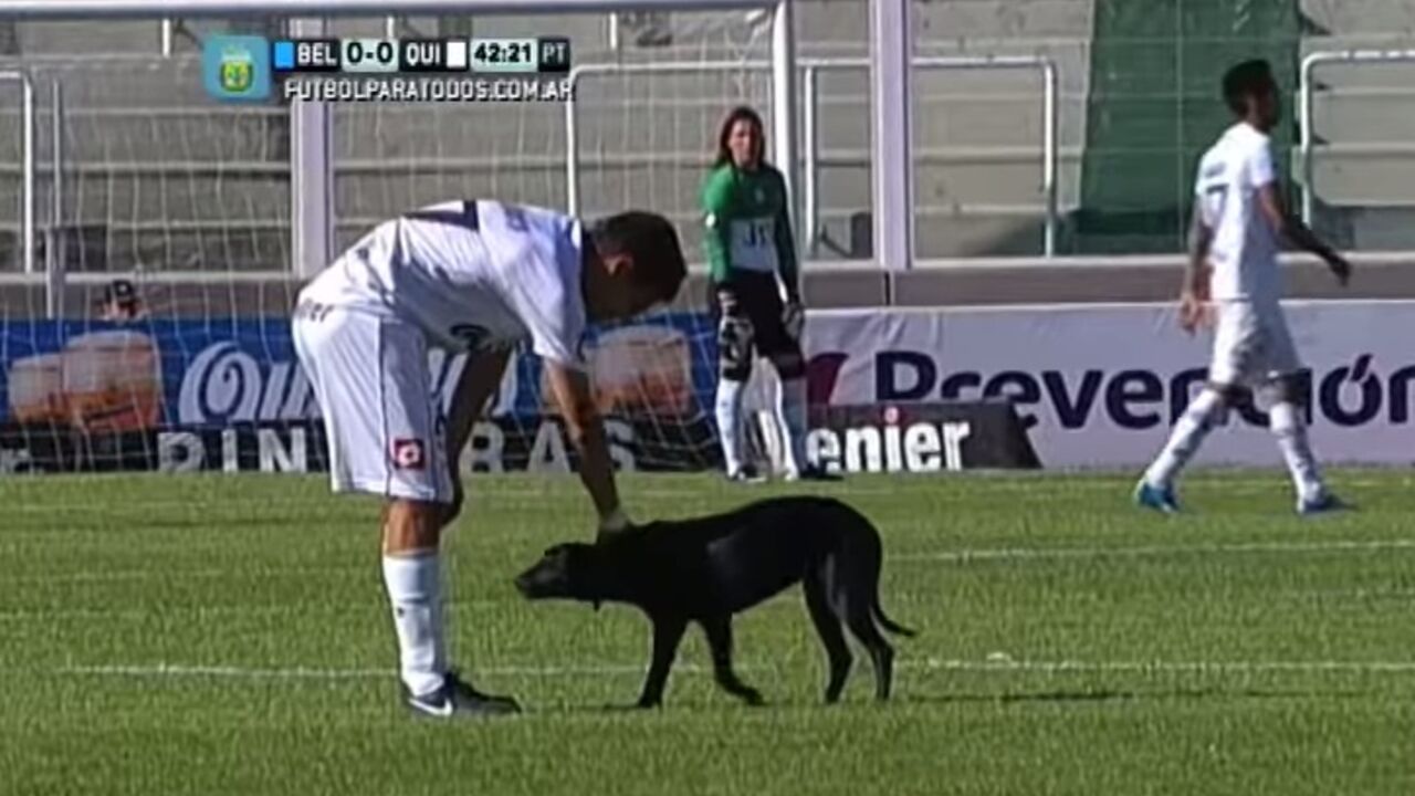 Pas na utakmici