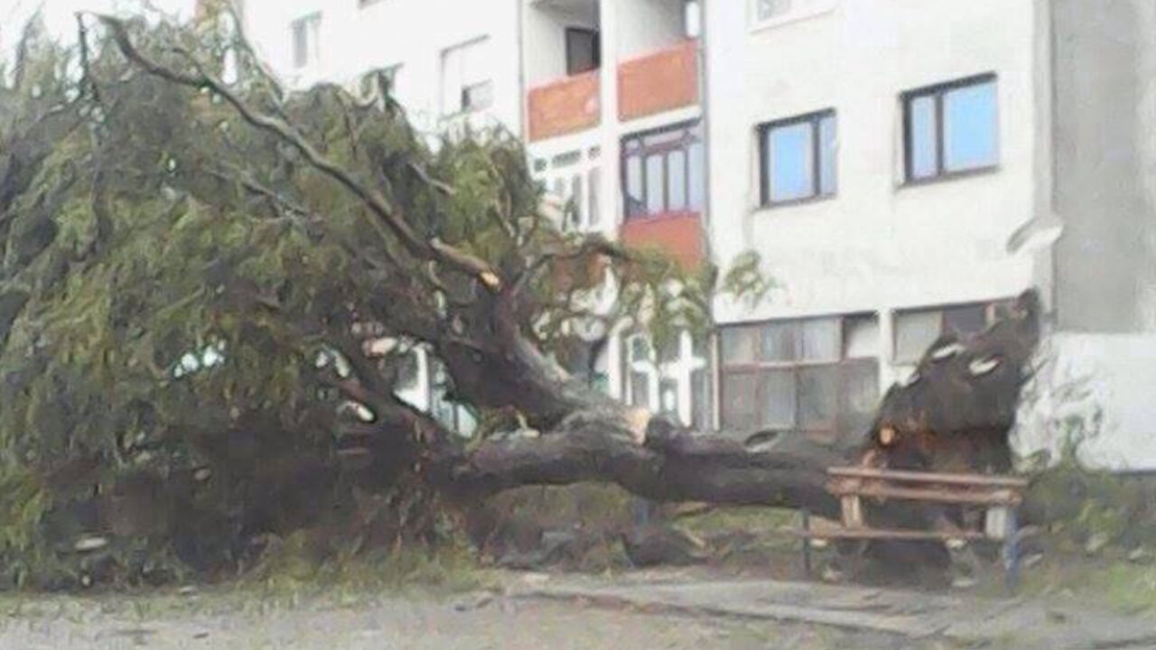 Nevreme